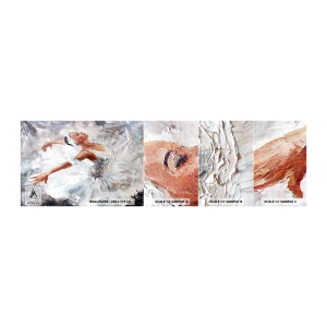 Vzor Fototapety Samolepicí Deluxe Sticker - Jemná a lehká jako tyl - Balerína, Tanec, Balet - 100x30 cm