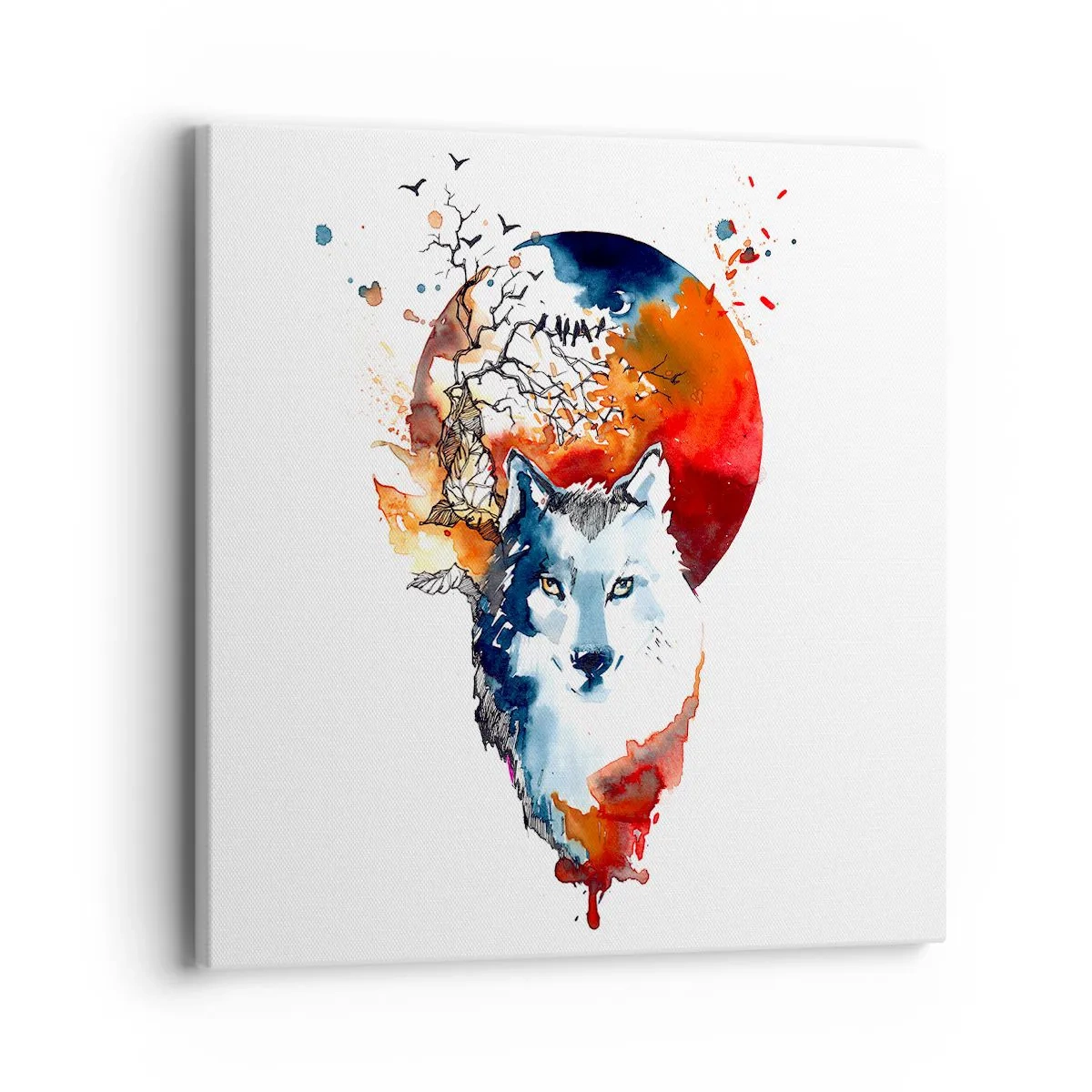 Obraz na plátně - Nosem na skle - 40x40 cm