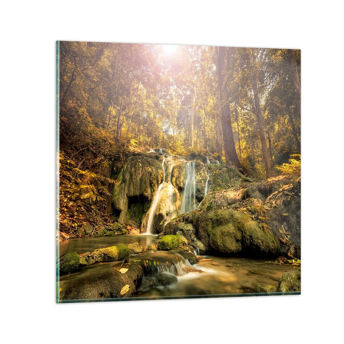 Obraz na skle - Lesní vodopád v zelené - 40x40 cm