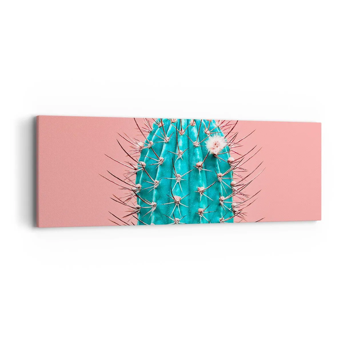 Obraz na plátně - Jen koukej - 90x30 cm