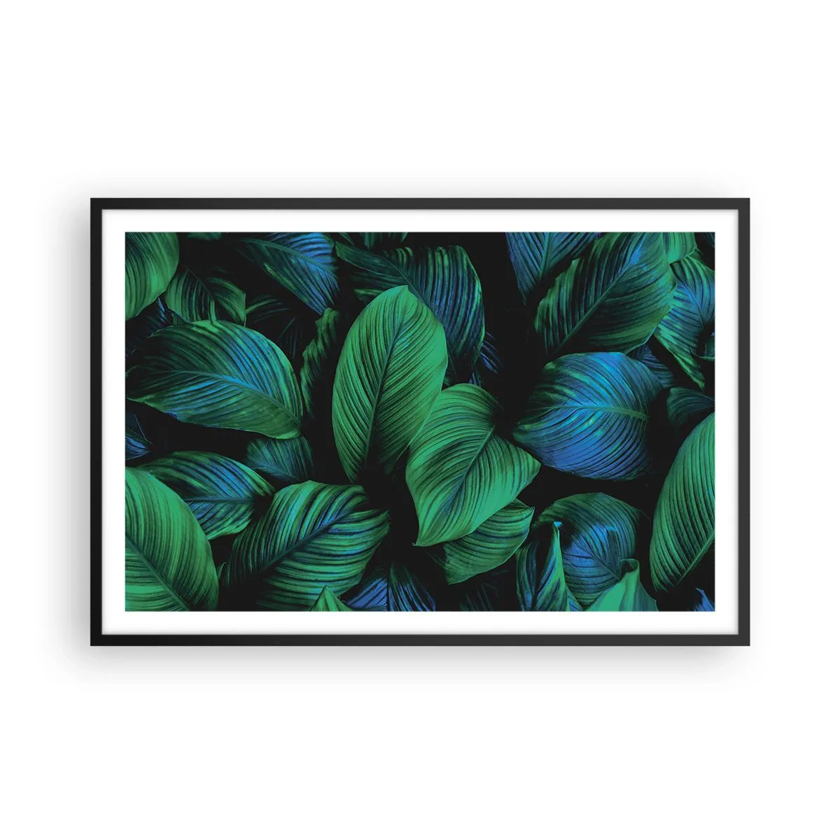 Plakát v černém rámu - V zeleném davu - 91x61 cm