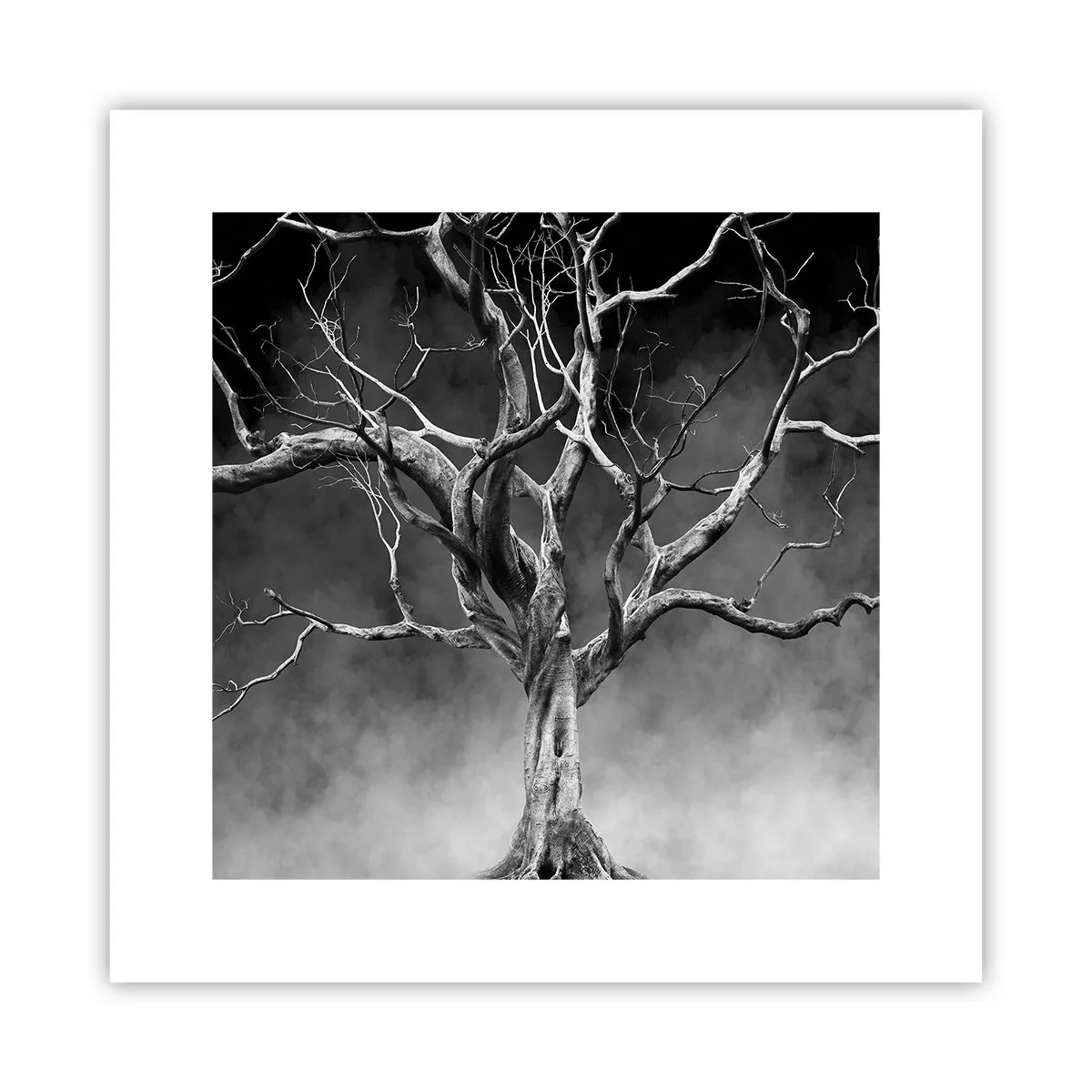 Plakát - Původní a svaté - 30x30 cm