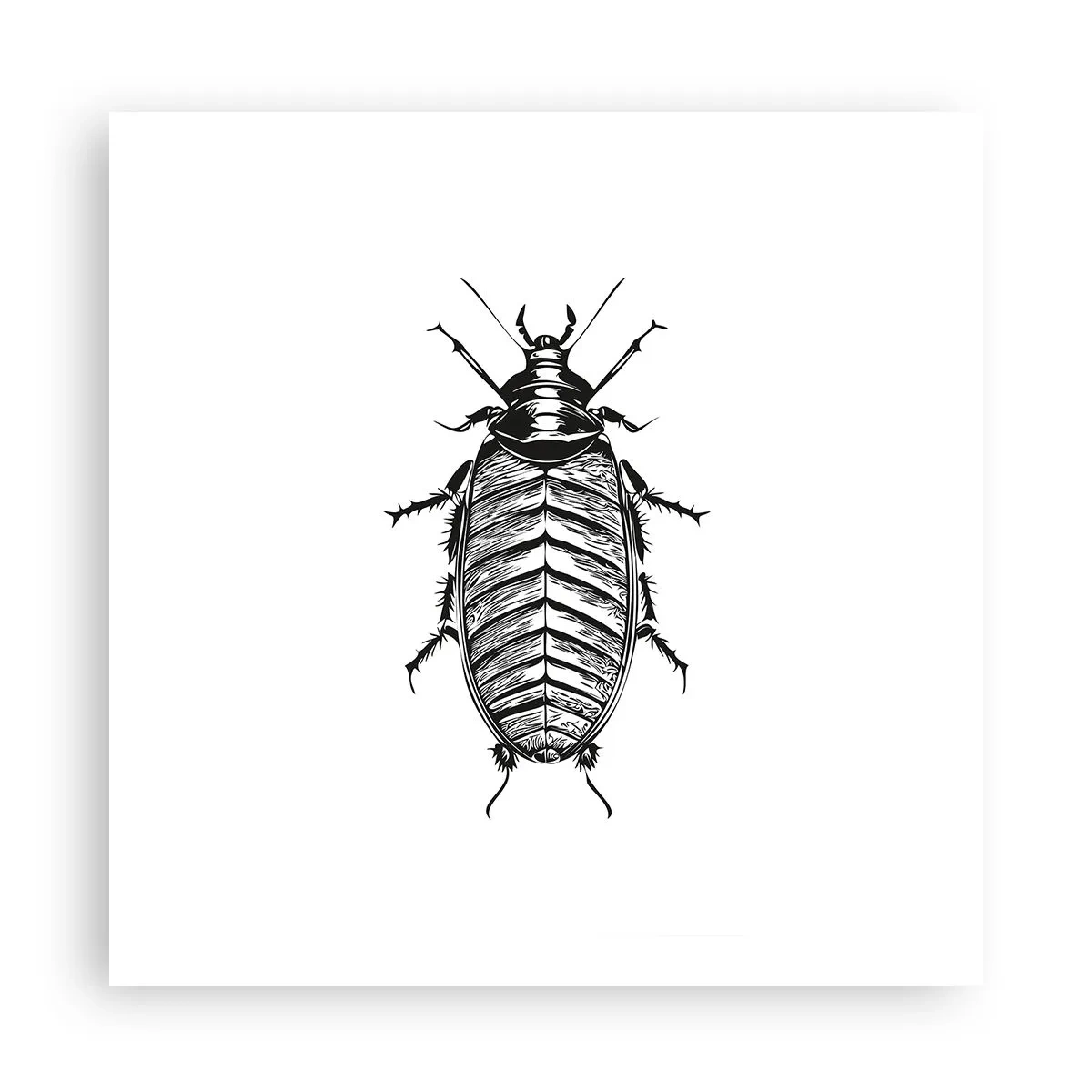 Plakát - Vzorový exemplář! - 60x60 cm