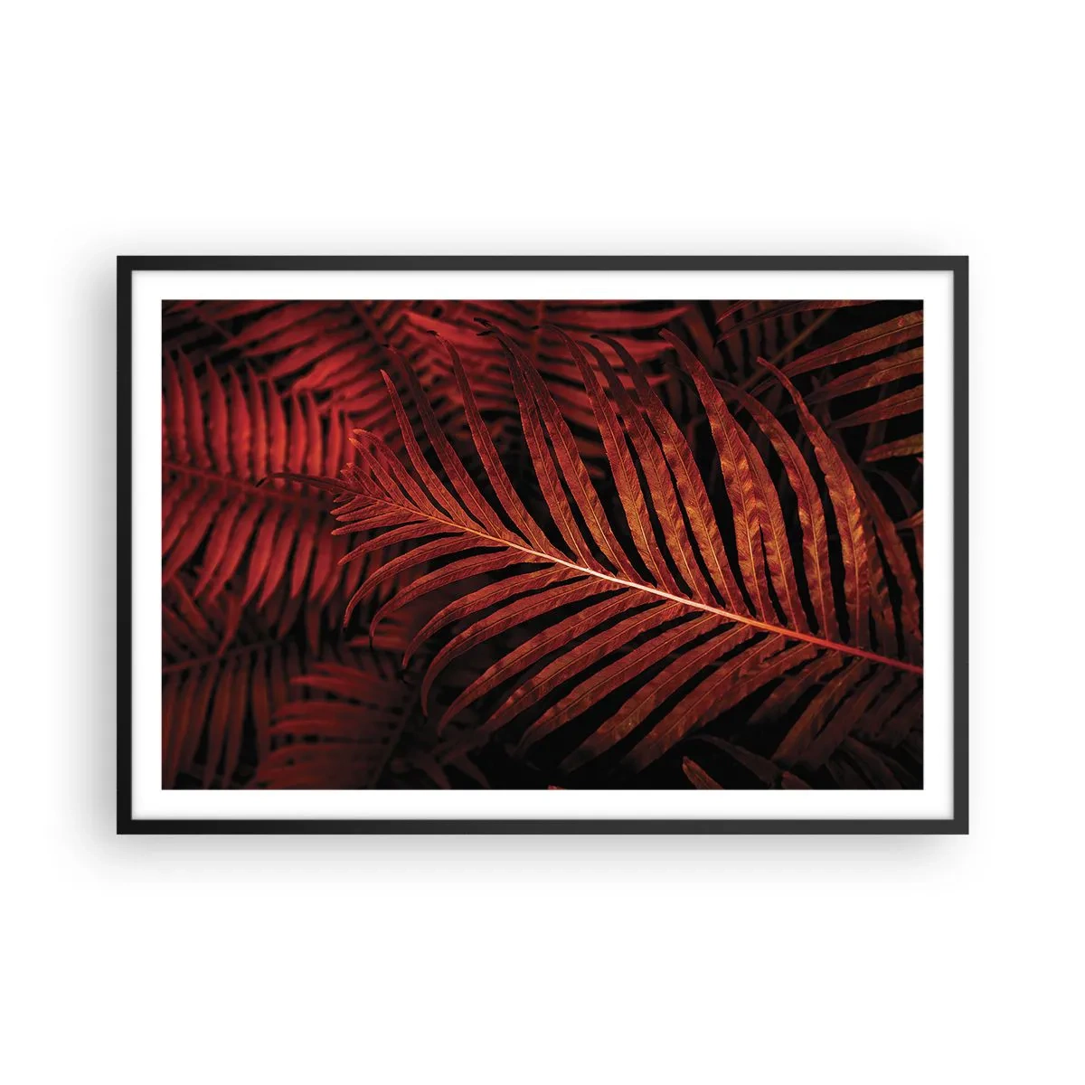 Plakát v černém rámu - Žár života - 91x61 cm