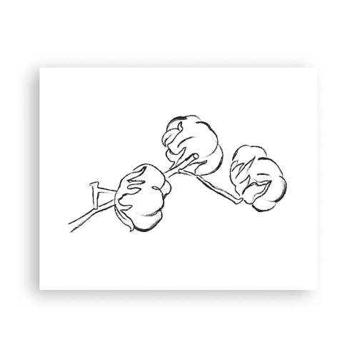 Plakát - Bavlněné chmýří - 50x40 cm