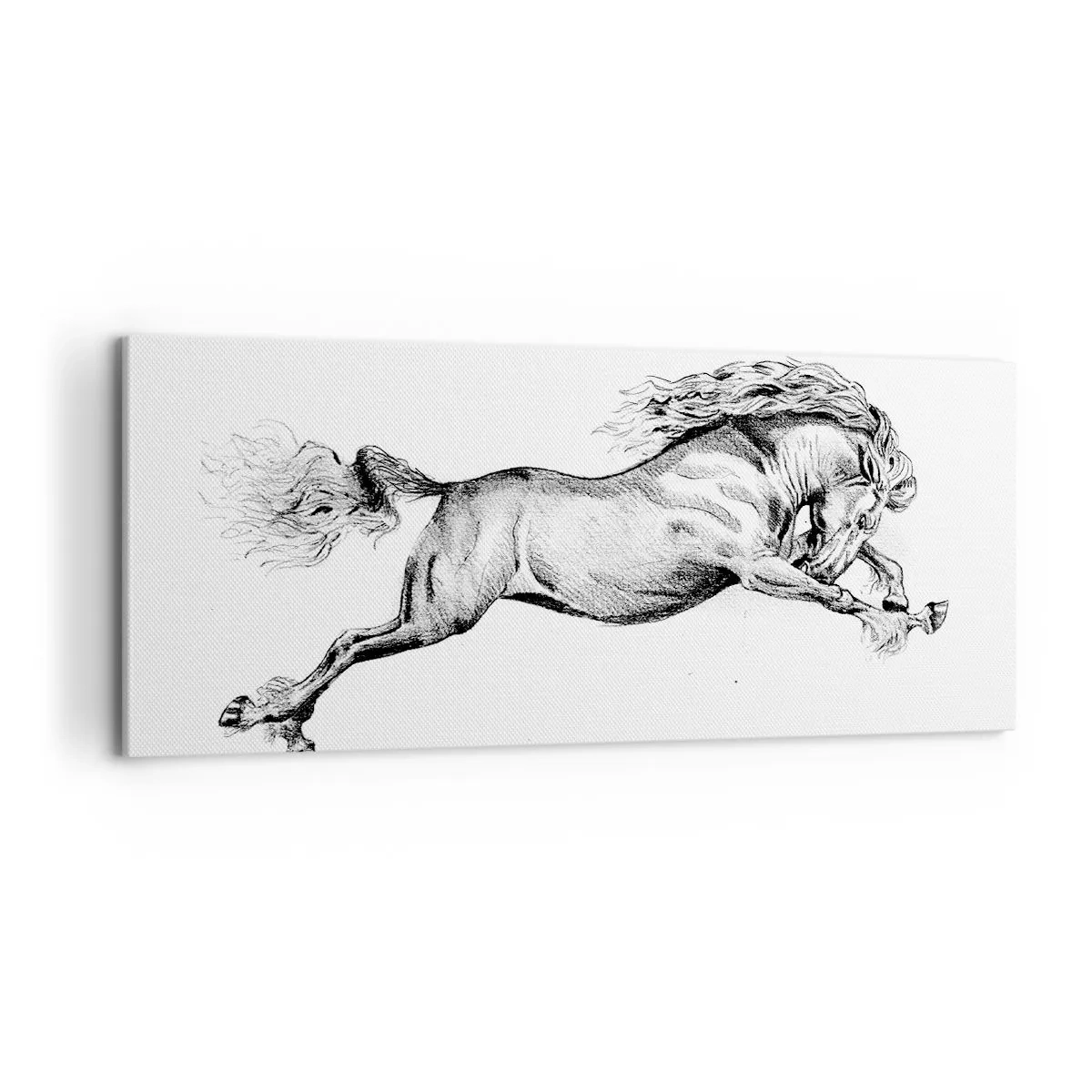 Obraz na plátně - Zastavený v cvalu - 100x40 cm