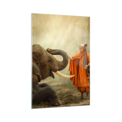 Obraz na skle - Setkání na cestách - 70x100 cm