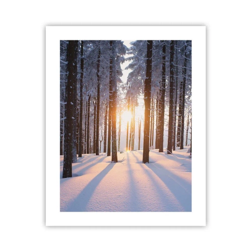 Plakát - Jasně černé na bílém - 40x50 cm