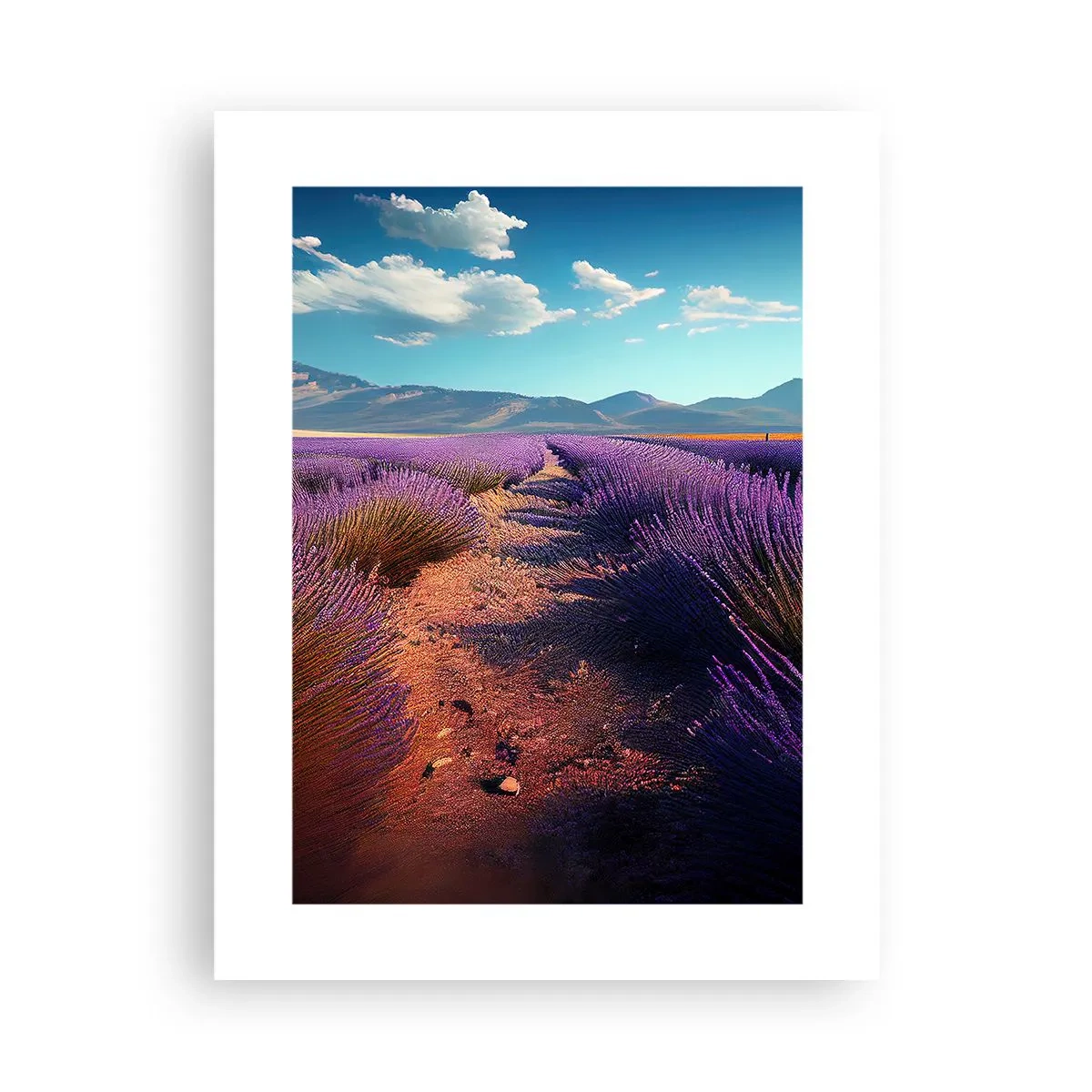 Plakát - Voňavá pole - 30x40 cm