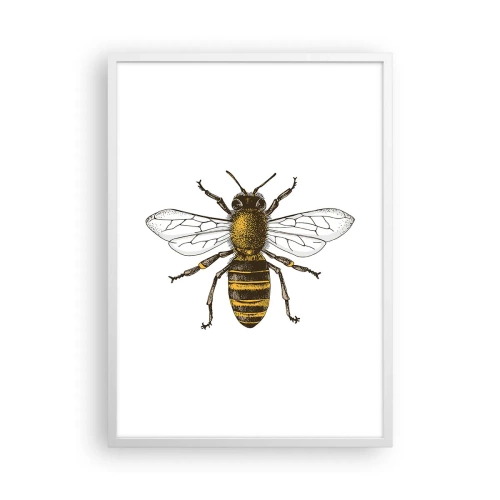 Plakát v bílém rámu - Krásná a dobrá - 50x70 cm