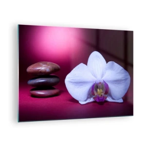 Obraz na skle - Bílá orchidej a kameny na pozadí fialového světla - 70x50cm - Studie svěžesti ve fialové - Moderní nástěnná dekorace do obývacího pokoje a ložnice ARTTOR