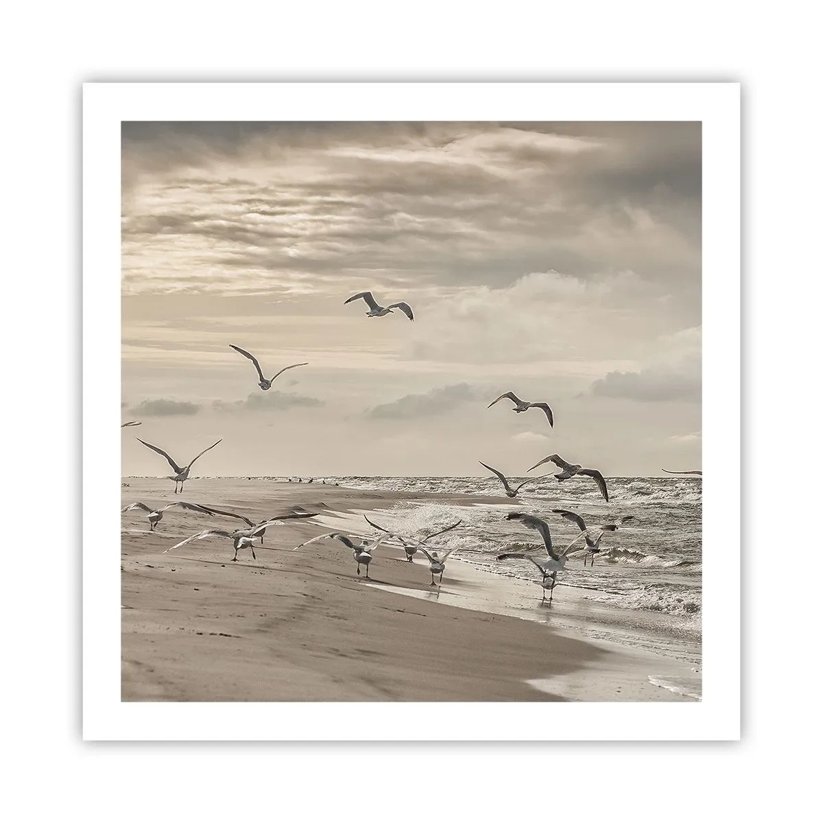 Plakát - Šumění moře, zpěv ptáků - 60x60 cm