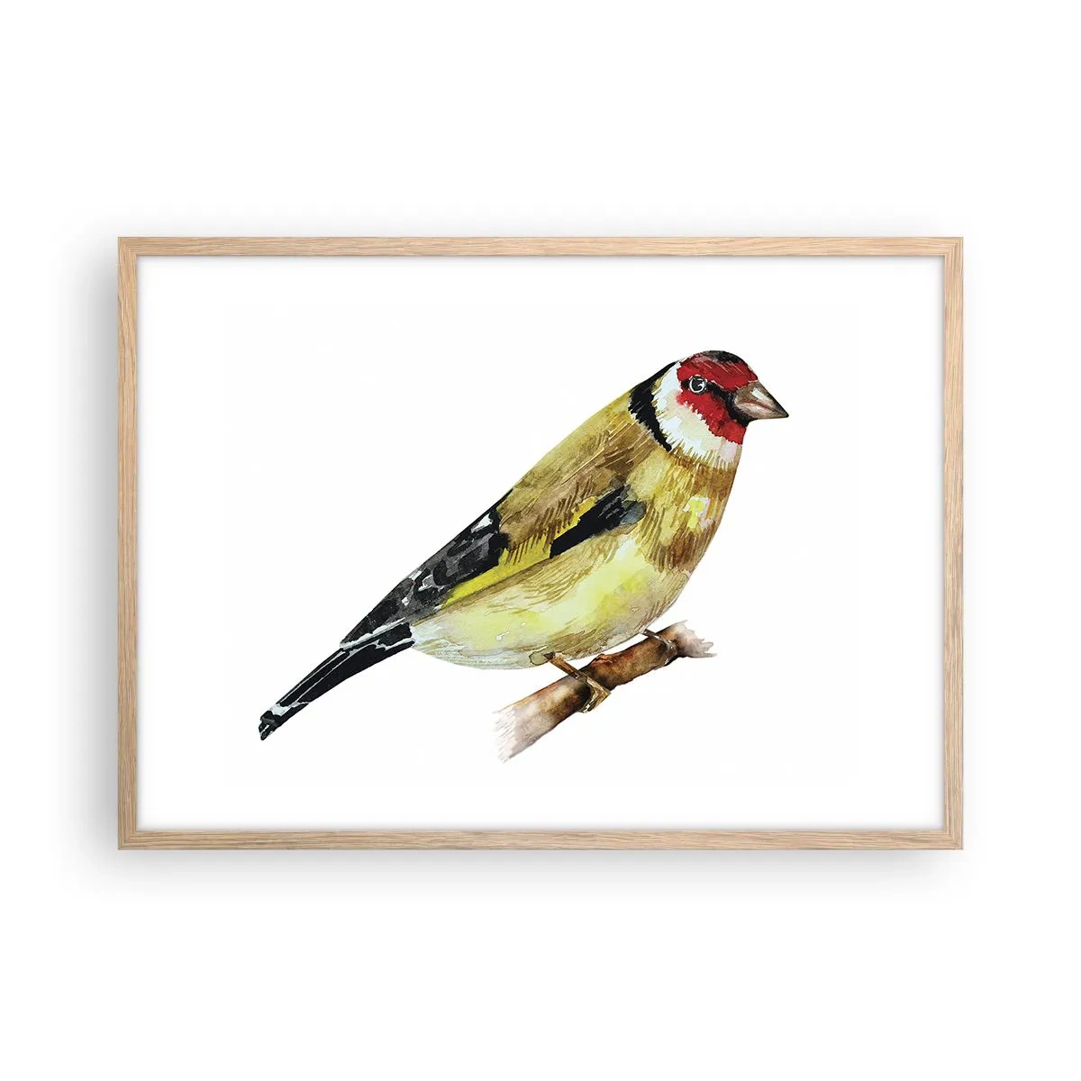 Plakát v rámu světlý dub - Ptáčí portrét - 70x50 cm