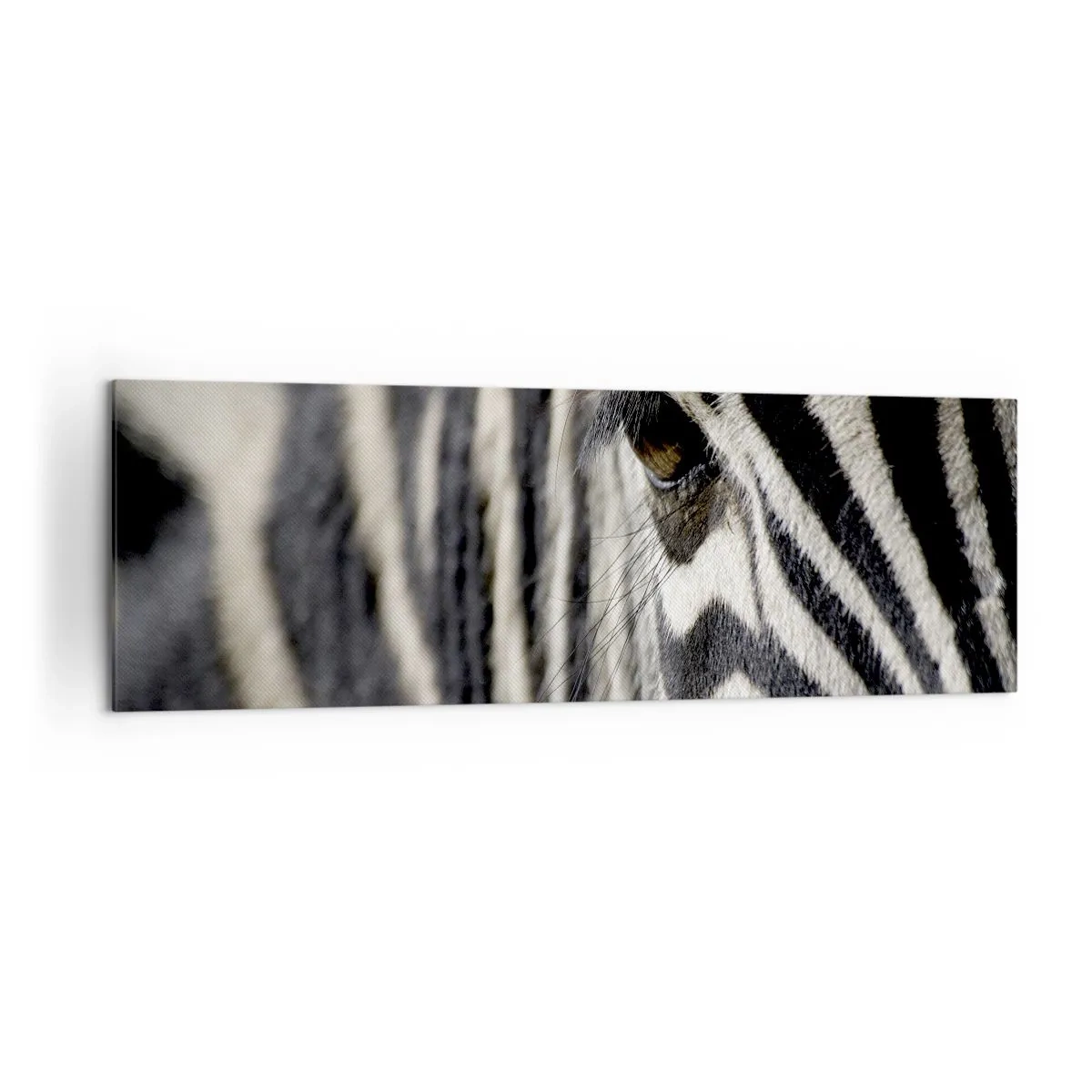 Obraz na plátně - Portrét s pruhy - 160x50 cm