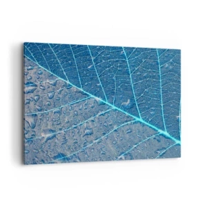 Obraz na plátně - Život v modři - 100x70 cm