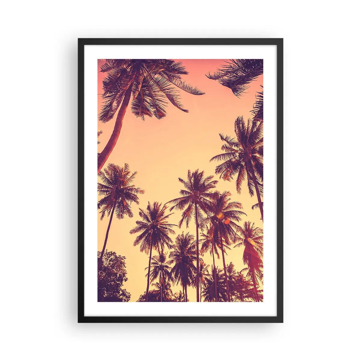 Plakát v černém rámu - Palmy v teplých barvách západu slunce - 50x70cm - Tropická variace - Moderní nástěnná dekorace do obývacího pokoje a ložnice ARTTOR