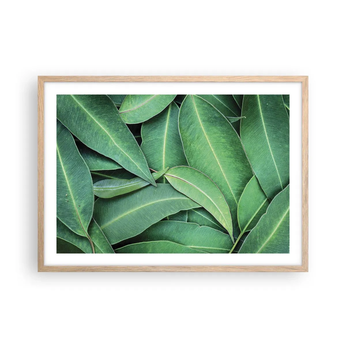Plakát v rámu světlý dub - Šťavnaté a svěží - 70x50 cm