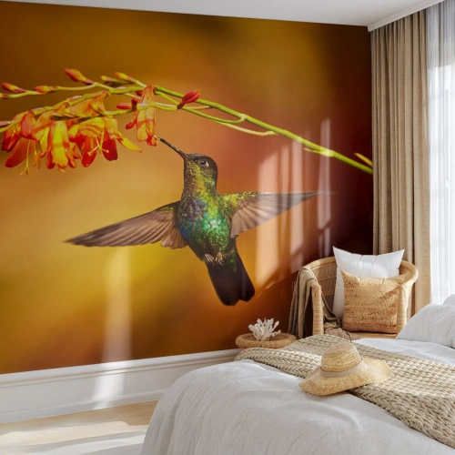 Fototapeta Samolepicí Deluxe Sticker - Posel světla podle Májů - Kolibřík, Pták, Příroda - 300x210 cm