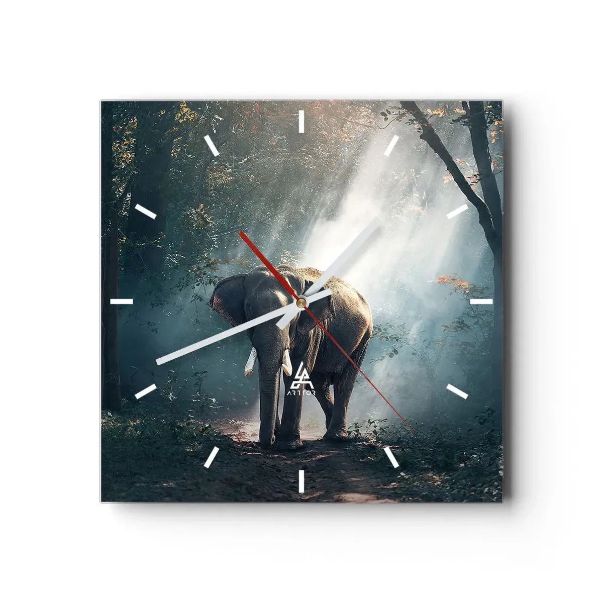 Nástěnné hodiny - Klidná procházka - 40x40 cm