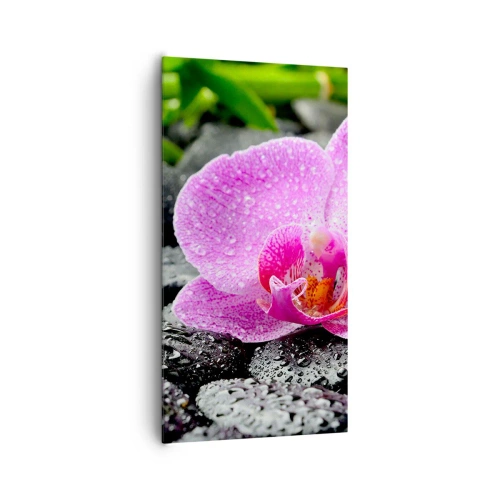 Obraz na plátně - Jako otevřené srdce - 65x120 cm