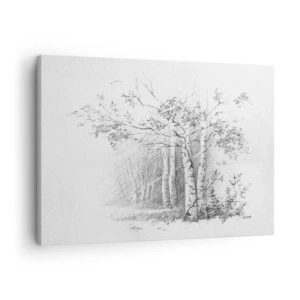 Obraz na plátně - Kresba březového lesa jemnou tužkovou skicou - 70x50cm - Světlo březového lesa - Moderní nástěnná dekorace do obývacího pokoje a ložnice ARTTOR