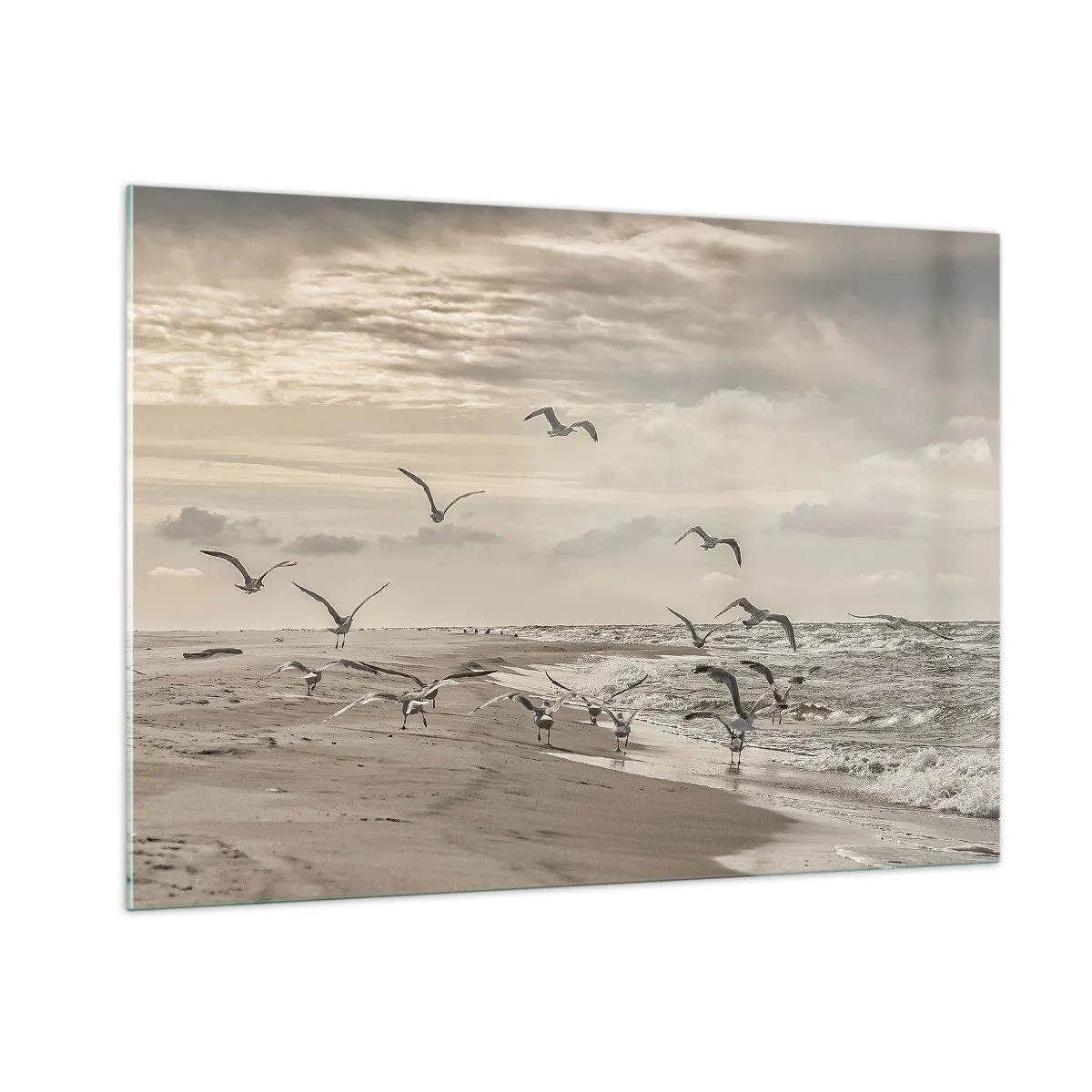 Obraz na skle - Šumění moře, zpěv ptáků - 100x70 cm