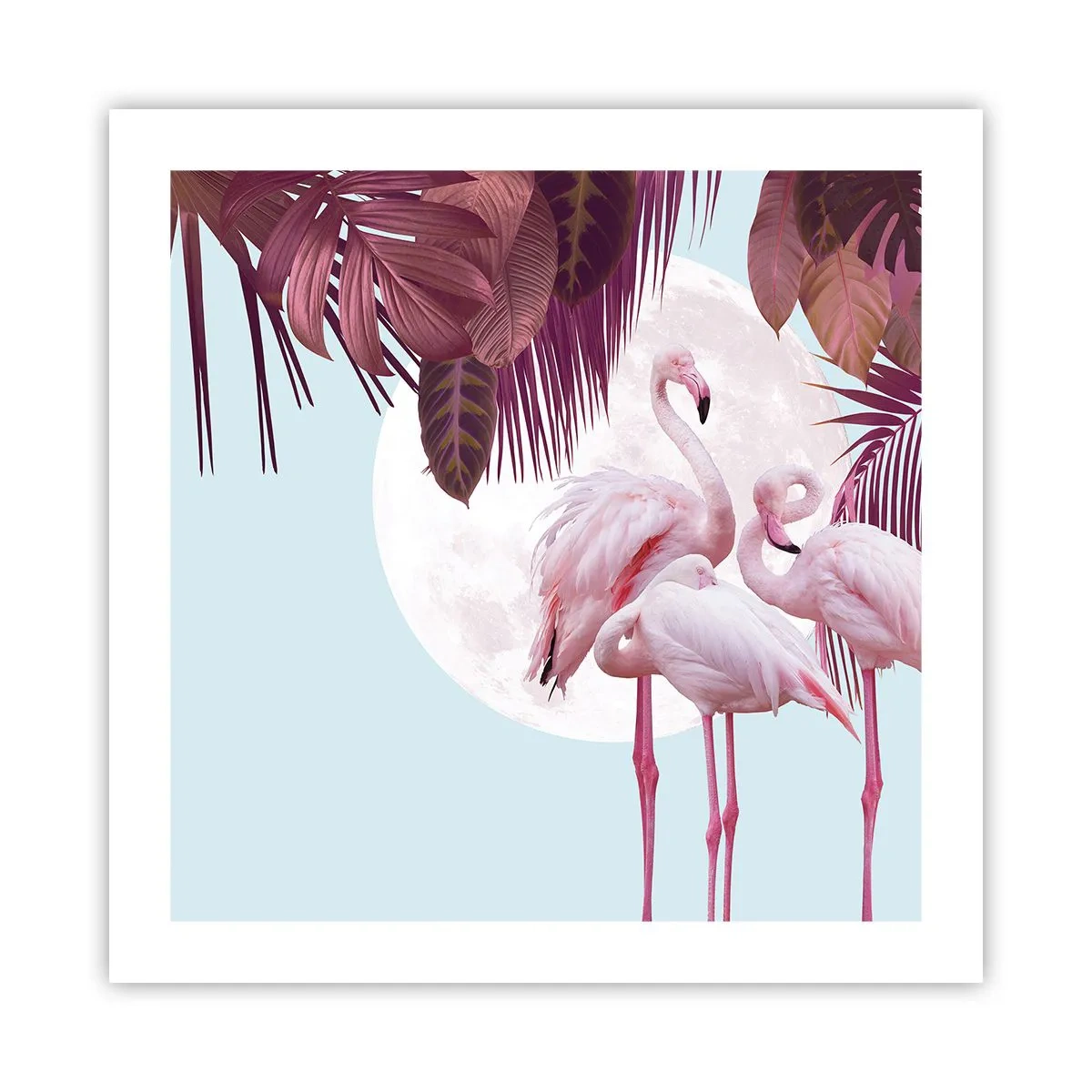 Plakát - Tři ptačí grácie - 50x50 cm