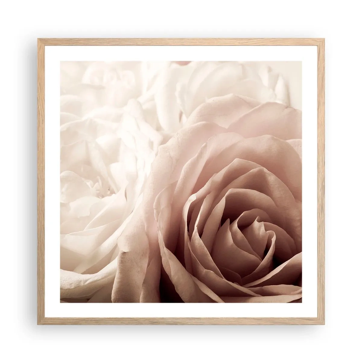 Plakát v rámu světlý dub - V srdci růže - 60x60 cm