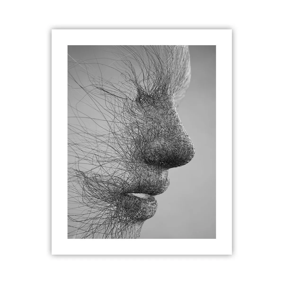 Plakát - Duch větru - 40x50 cm