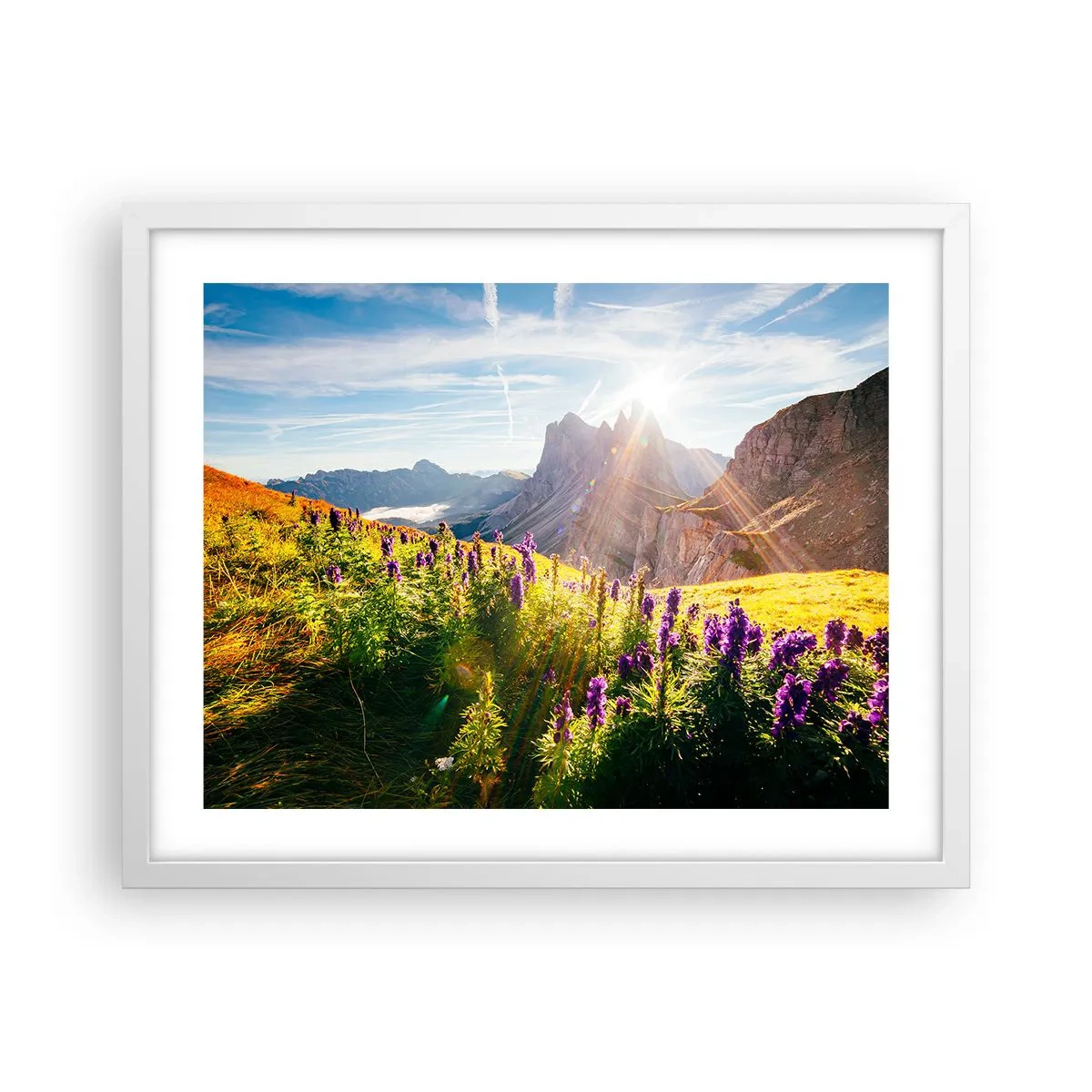 Plakát v bílém rámu - Tajemný život bylin - 50x40 cm