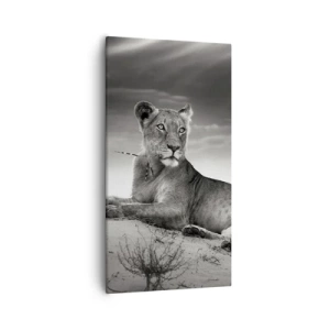 Obraz na plátně - Odpočinek královny pouště - 55x100 cm