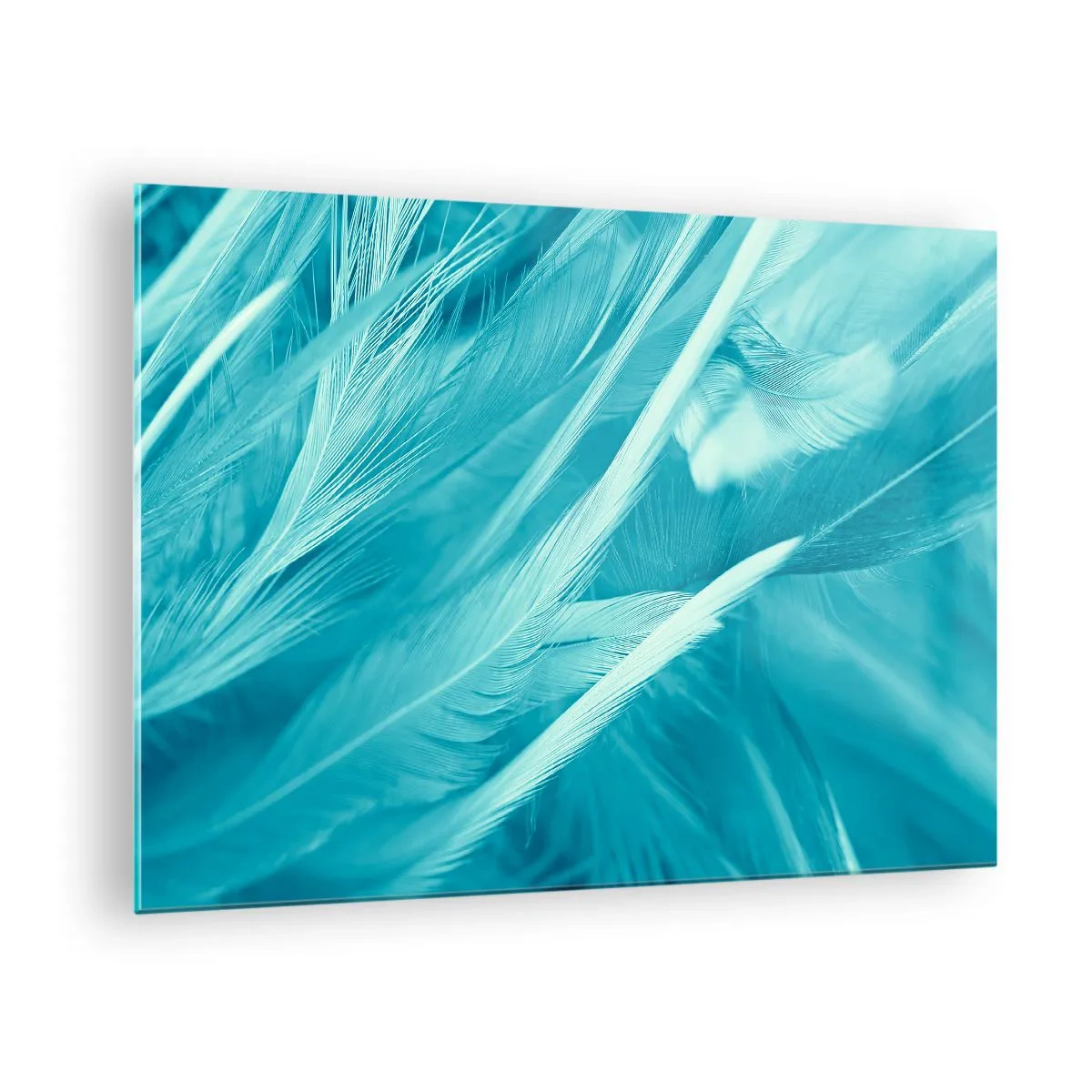 Obraz na skle - Tyrkysové peří v jemném detailním záběru - 70x50cm - Utonout v chmýří - Moderní nástěnná dekorace do obývacího pokoje a ložnice ARTTOR