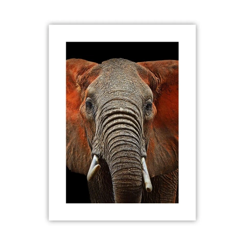 Plakát - Jsem divoký, a ty? - 30x40 cm