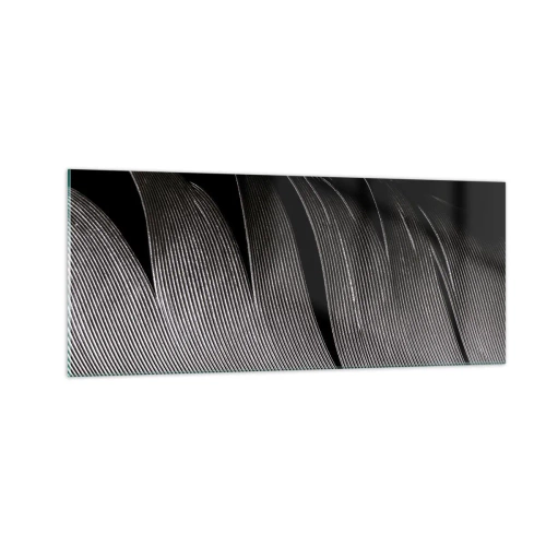 Obraz na skle - Peří – nádherná konstrukce - 100x40 cm