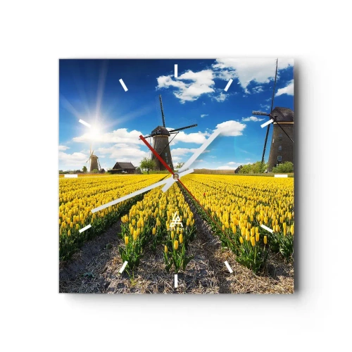 Nástěnné hodiny - Více nizozemský nemůže být - 30x30 cm