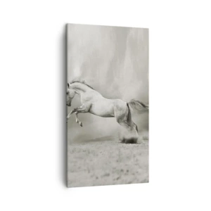 Obraz na plátně - Mezi bděním a snem - 45x80 cm