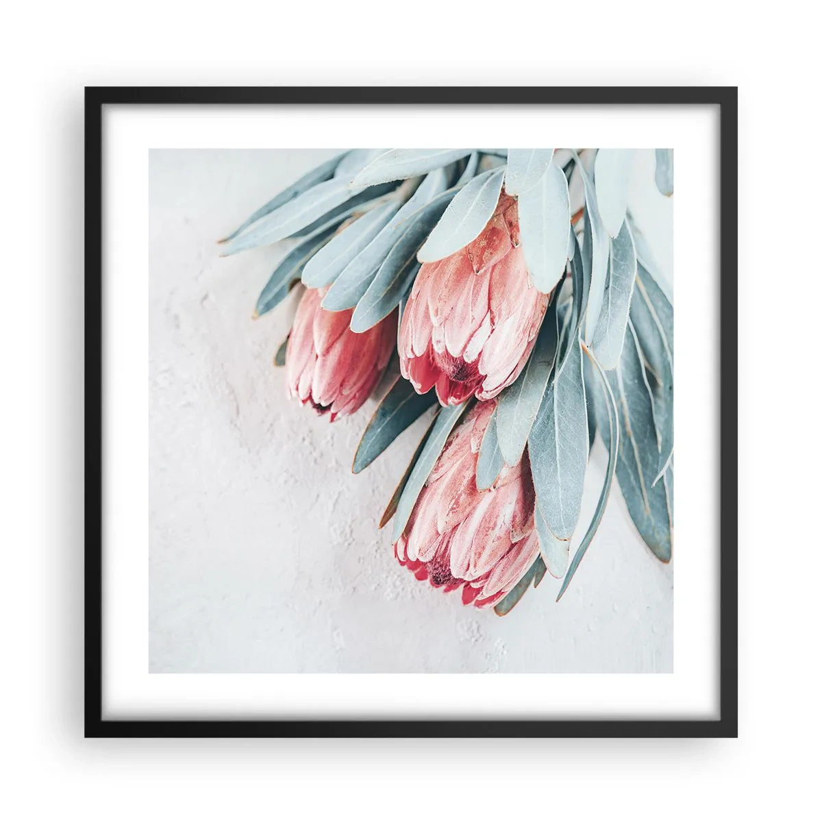 Plakát v černém rámu - Zahanbené svou vlastní krásou - 50x50 cm