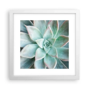 Plakát v bílém rámu - Srdce pouště - 30x30 cm