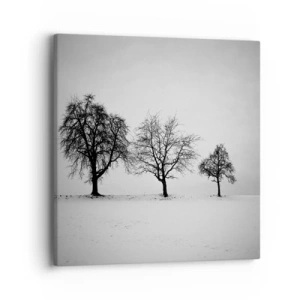 Obraz na plátně - O čem sní? - 40x40 cm