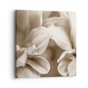 Obraz na plátně - Něžné jako úsměv - 40x40 cm