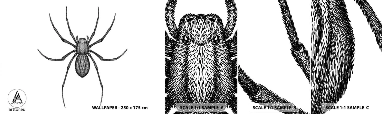 Fototapeta Vzorek Standard Eco - Znepokojivá přesnost - Pavouk, Hmyz, Minimalistický - 100x30 cm