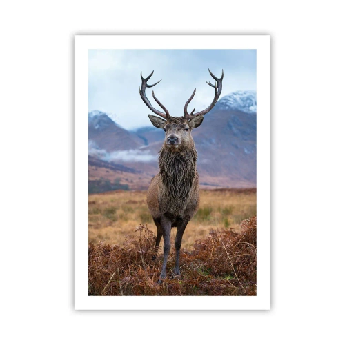 Plakát - Na vlastní půdě - 50x70 cm