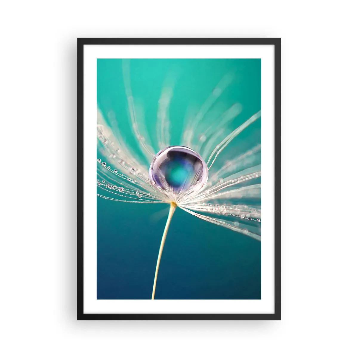 Plakát v černém rámu - Makrofotografie kapky vody na pampelišce - 50x70cm - Mystický okamžik - Moderní nástěnná dekorace do obývacího pokoje a ložnice ARTTOR