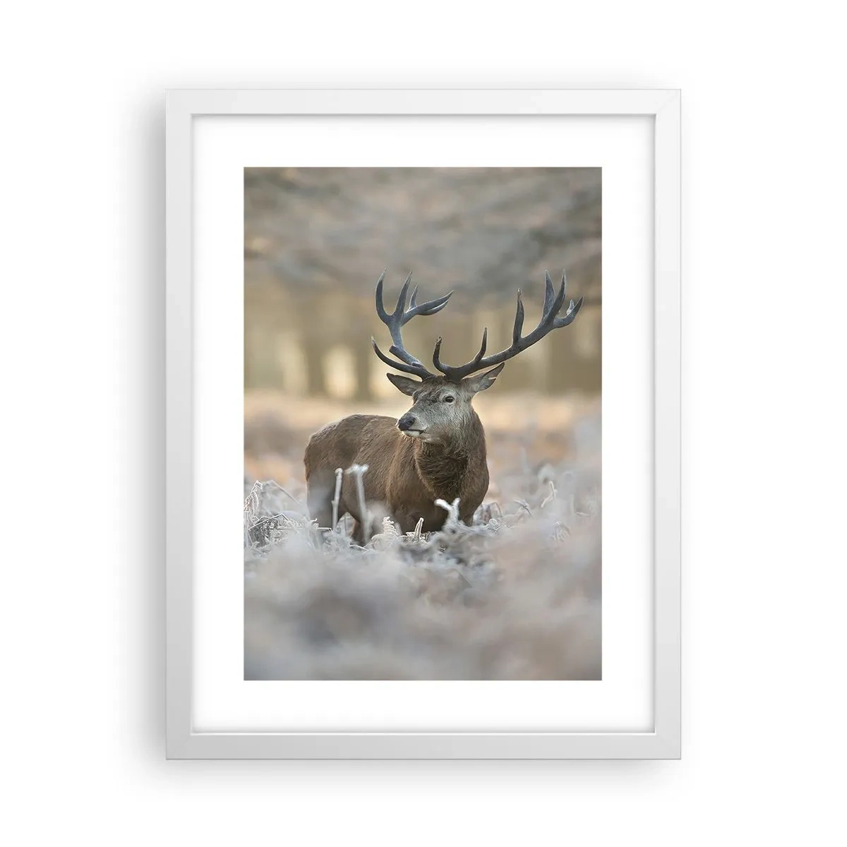 Plakát v bílém rámu - Svěží ráno - 30x40 cm