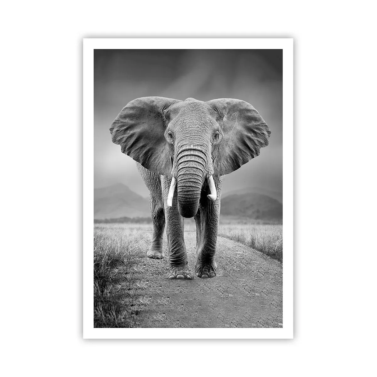 Plakát - Hostitel vítá - 70x100 cm