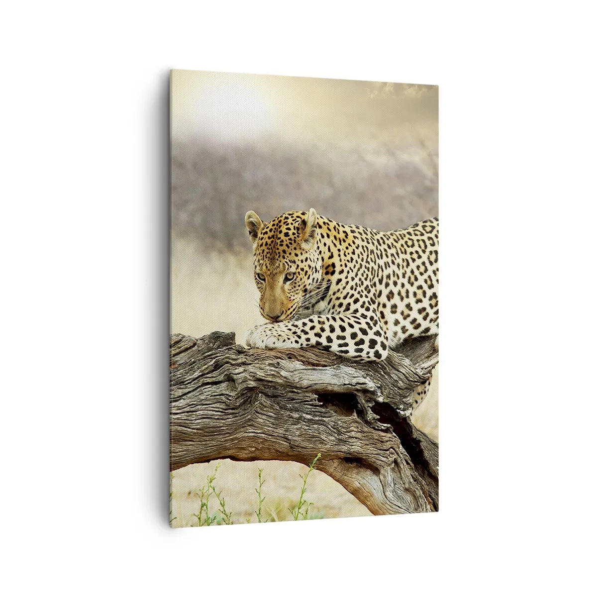 Obraz na plátně - Chodím vlastními cestami - 80x120 cm