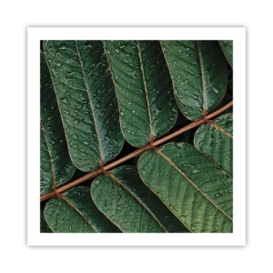 Plakát - V zeleném rytmu - 60x60 cm