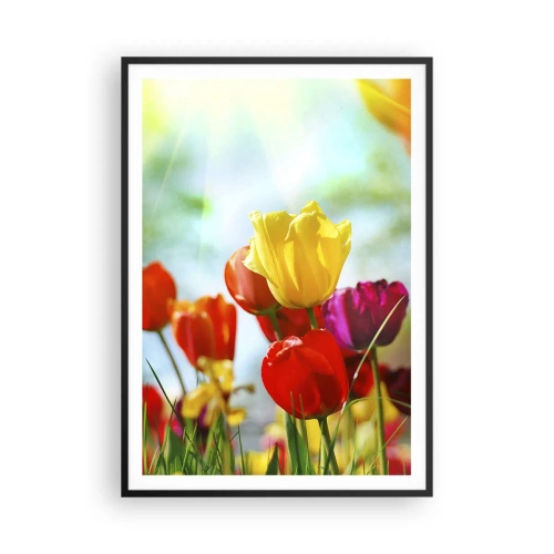 Plakát v černém rámu - Všechny barvy slunce - 70x100 cm