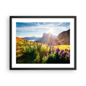 Plakát v černém rámu - Tajemný život bylin - 50x40 cm