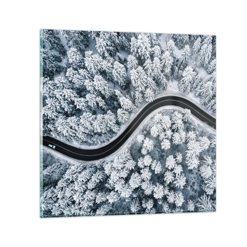 Obraz na skle - Zimním lesem - 30x30 cm